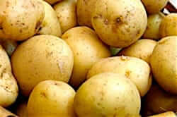 Productos locales del Ripollès (patatas del ripolles)