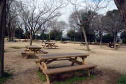 De picnic para la provincia de Barcelona (Jardines Joan Brossa Barcelona)