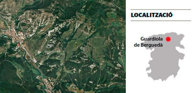 Looking for mushrooms in the Berguedà and Solsonès (Broca Forests)