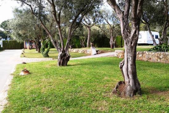 Ahórrate hasta 7 noches en parcelas a Eurocamping