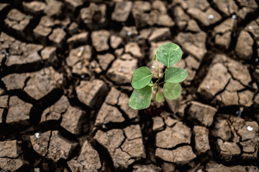 June 17, World Day to Combat Desertification and Drought