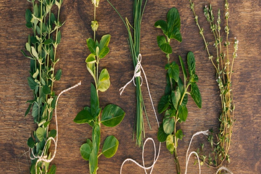 Foire aux herbes médicinales et aux plantes aromatiques d'Aiguafreda