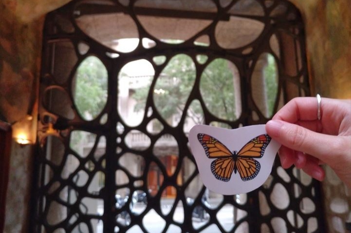 Gaudinian Animals and where to find them in La Pedrera!