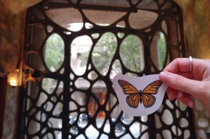 Animals Gaudinians i on trobar-los a la Pedrera!