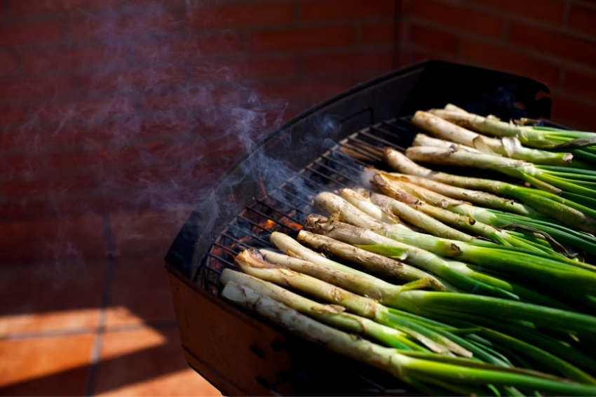 Calçotada popular a Sidamon