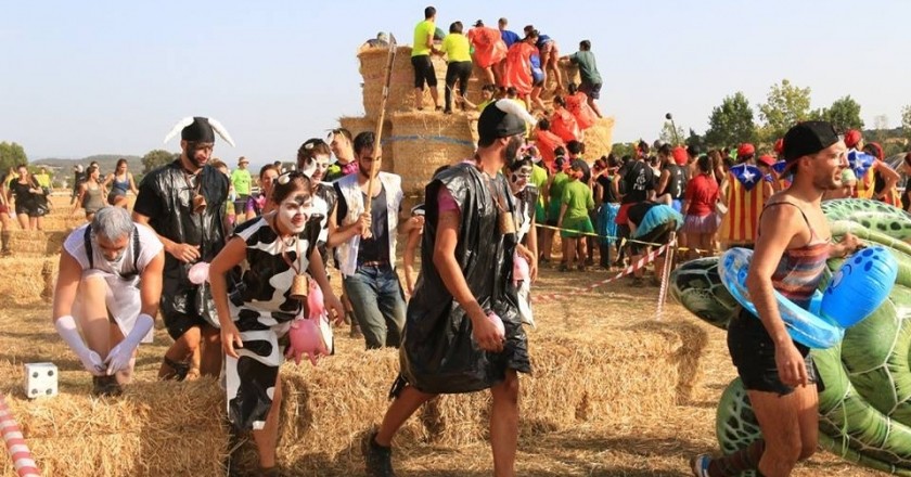 Casserres Salvatge a Casserres