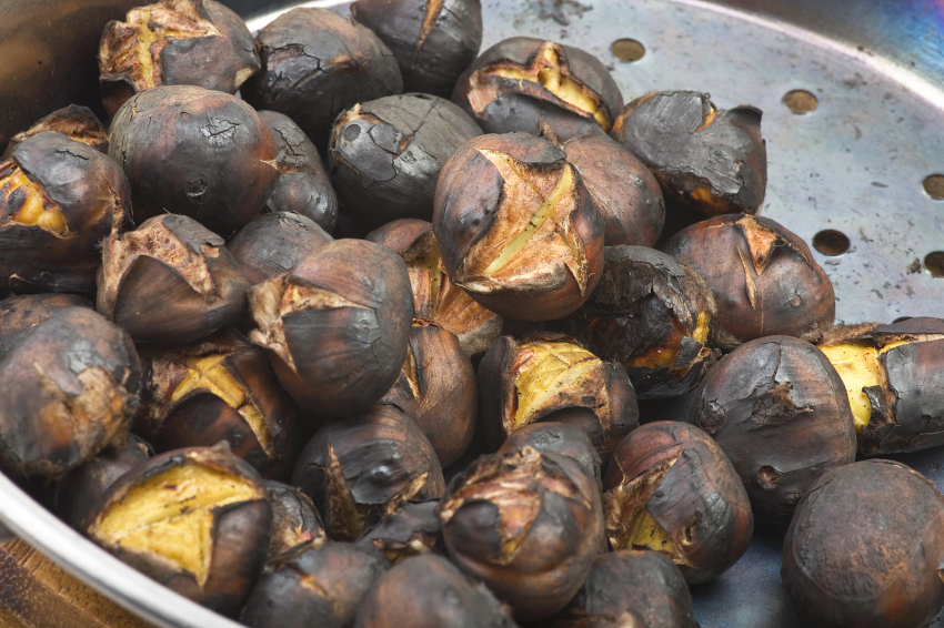 Fête de la châtaigne à Pardines