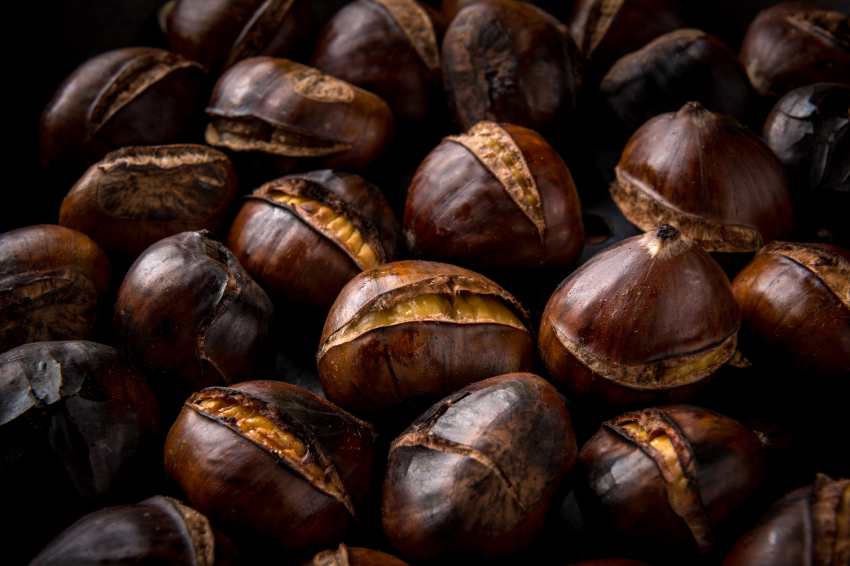 Chestnut Festival in Vallgorguina