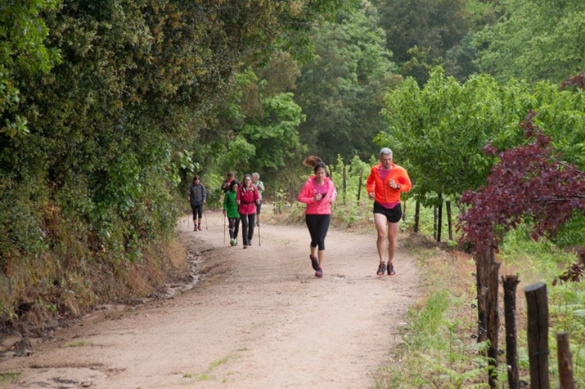 Carrera de Montaña y Marxa de la Primavera de Arbúcies 2024