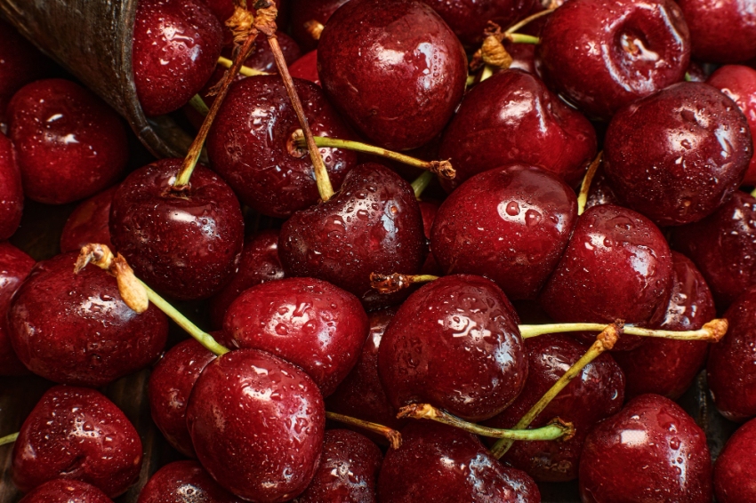 Cherry Festival and Canterers Fair in Miravet