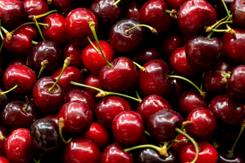 Festival des cerises de Paüls