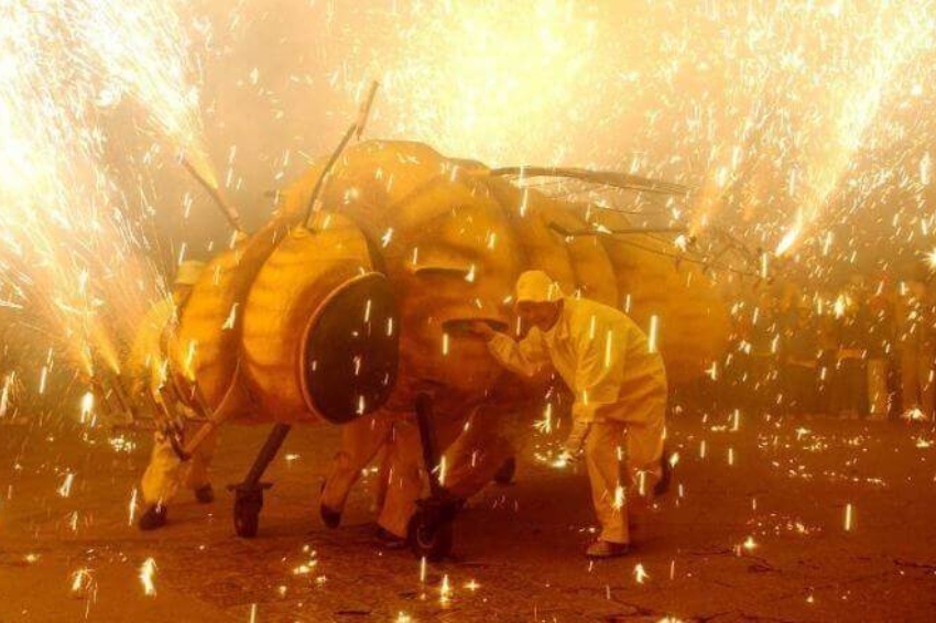 Fête du Phylloxéra à Sant Sadurní de Anoia