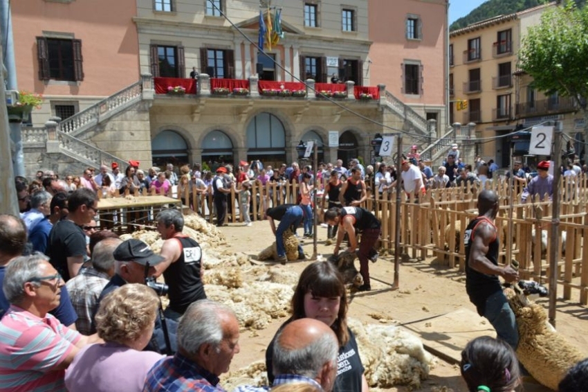 Wool festival and wedding in the Ripoll farmhouse