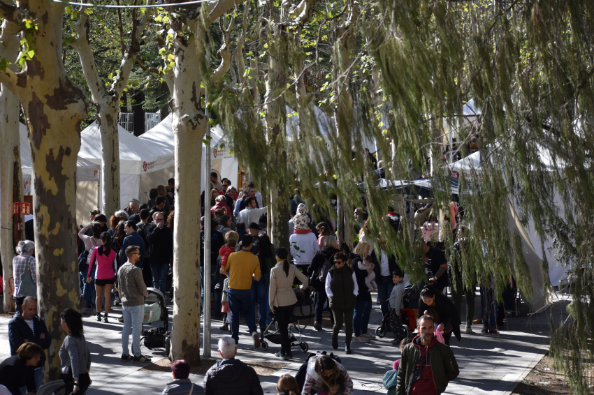 Autumn Festival at Les Masies de Voltregà