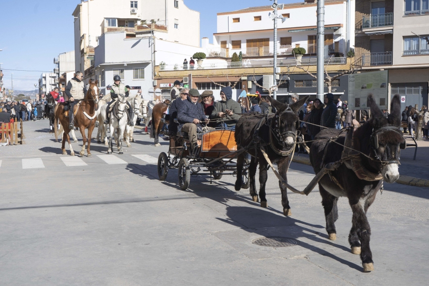 Festa de Sant Antoni a Almenar