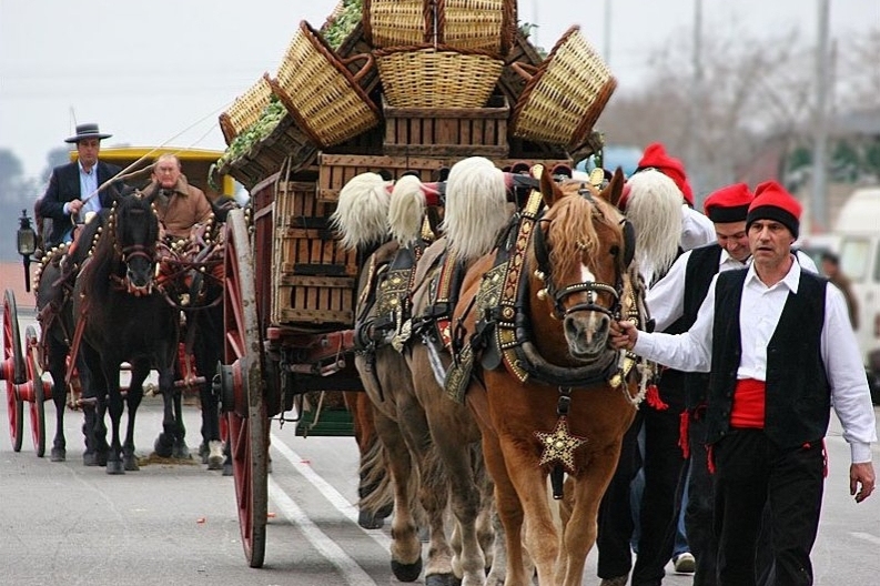 Fête de Sant Antoni à Sant Jaume d'Enveja