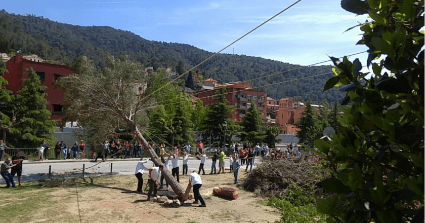 Fiesta del Pino y los Santos Patrones en Figaró-Montmany