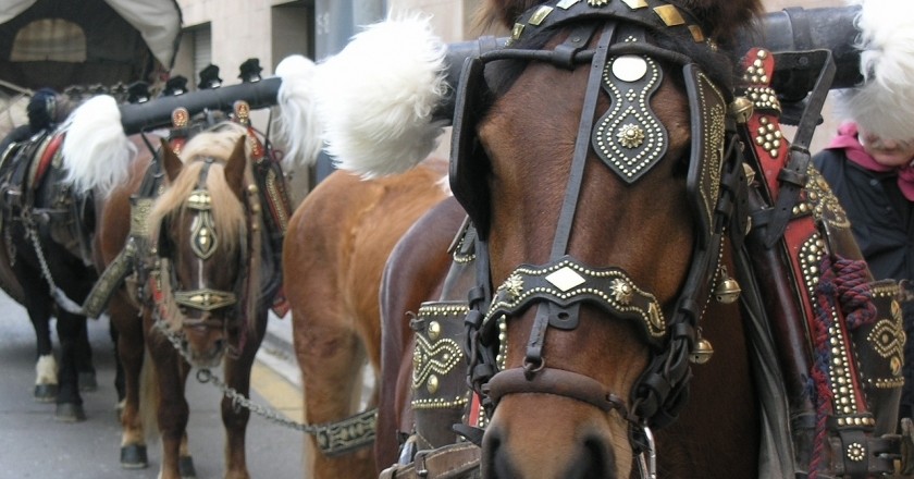 Festa dels Tres Tombs a Vilanova i la Geltrú