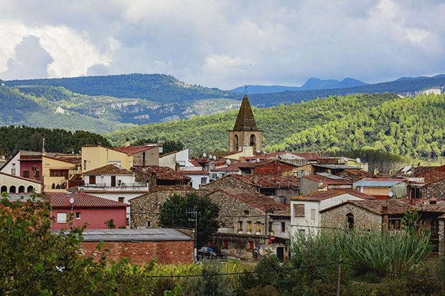 Fiestas del Roser del Pasteral