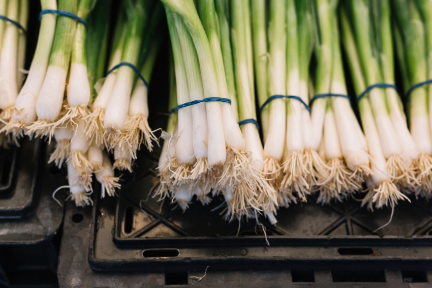 Foire de l'Oignon et du Calçot à Vila-sacra