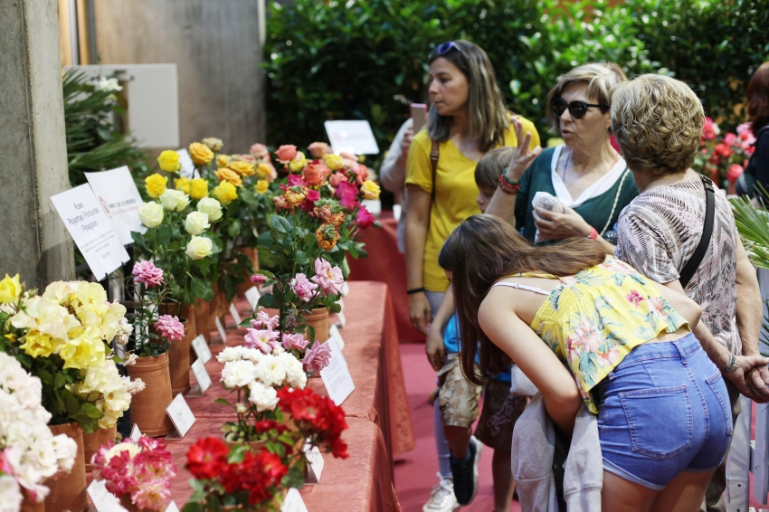 Foire aux Roses à Roses