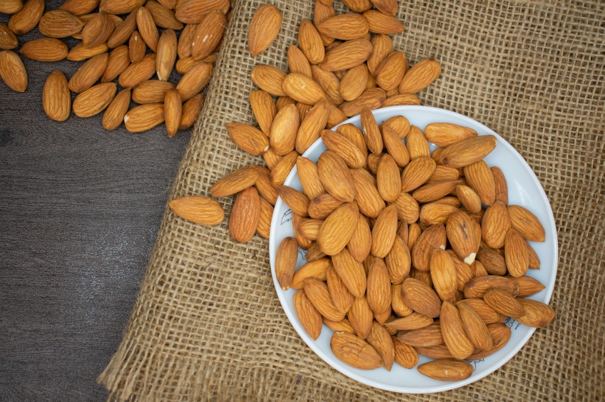 Vilagrassa Almond Fair