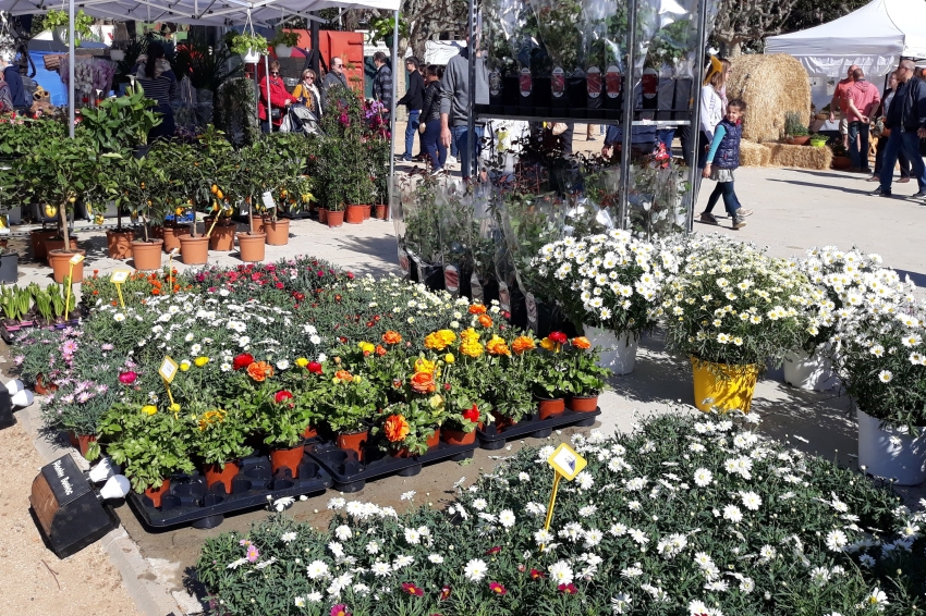 Foire de l'arbre et de l'environnement de Mataró