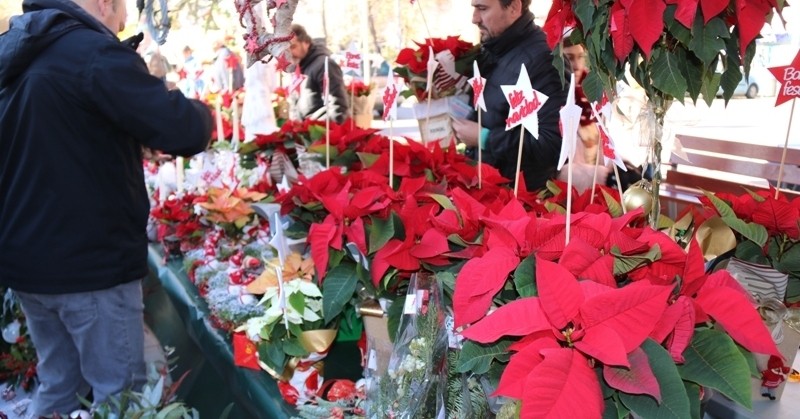 Feria de Navidad de Nuevo Martorell