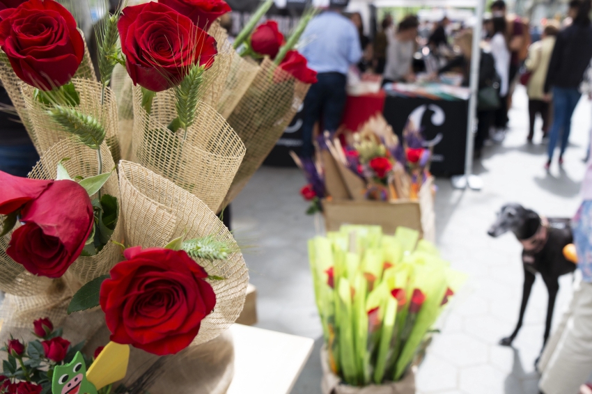 Sant Jordi Fair in Vilanova del Vallès