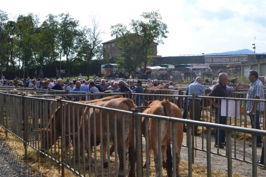 Foire de Sant Lluc à Olot