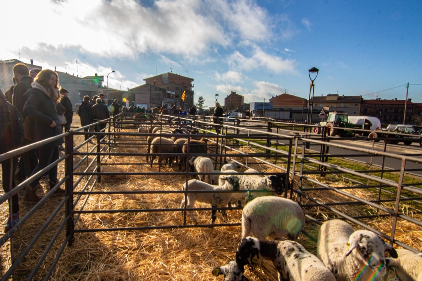 Santa Lucía Fair in Prats de Lluçanès