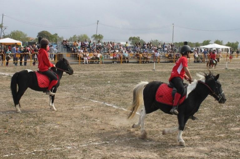 Hunter Fair City of Tárrega