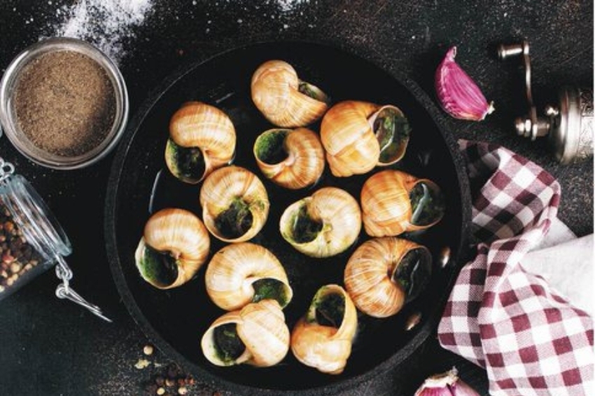 Foire aux escargots de Sentmenat