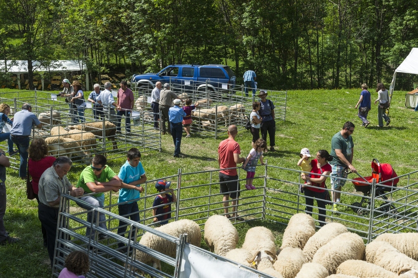 Fair of the products of the Alt Pirineu Natural Park and the Aranesa Sheep