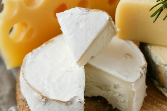 European Cheese Fair in Ripoll