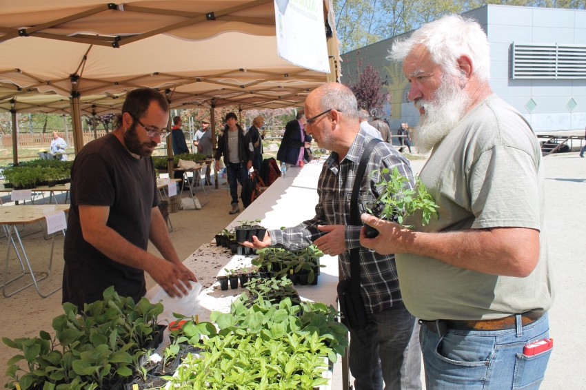 Feria 'Lliga't a la terra' en Santa Eulalia de Ronçana