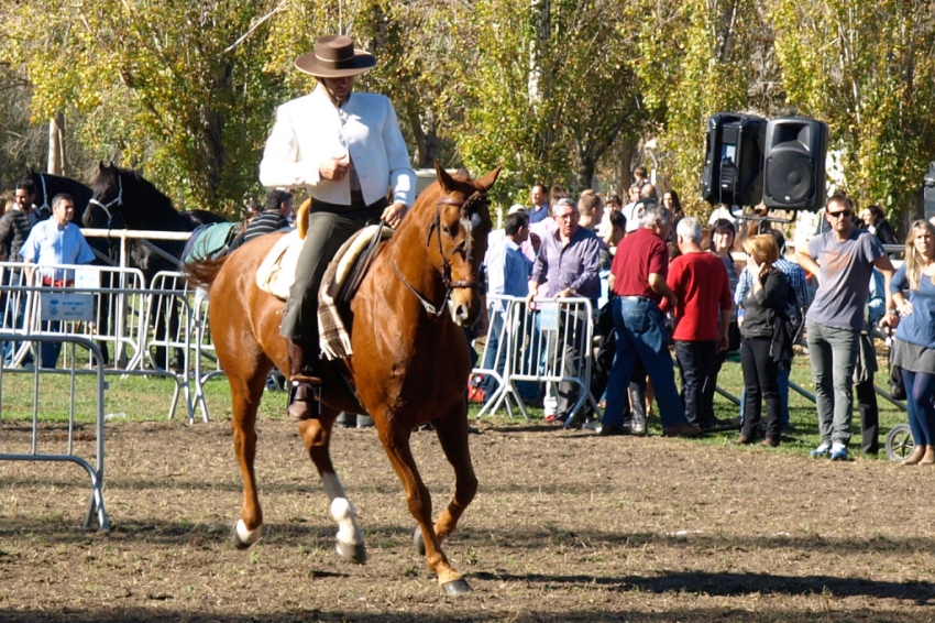 Sant Martirià Fair in Banyoles