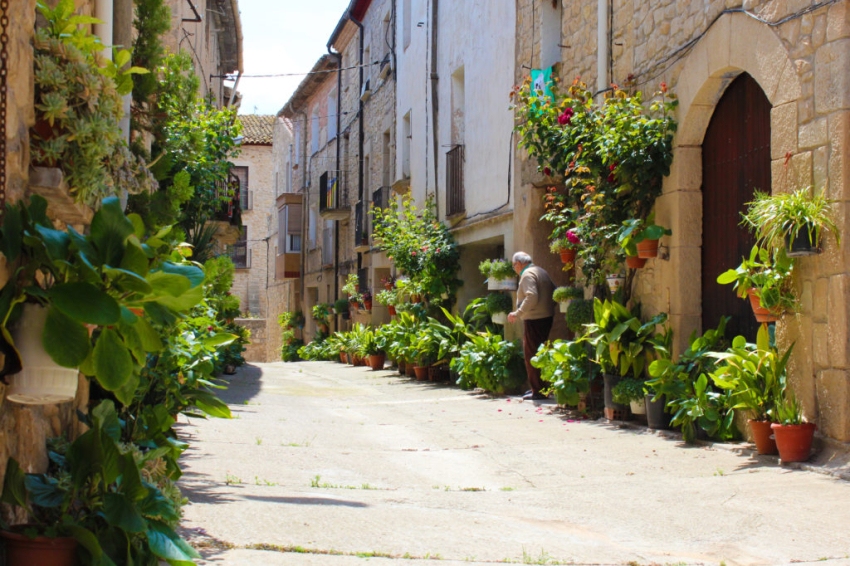 Les Garrigues Guarnides (Las Garrigues en flor)