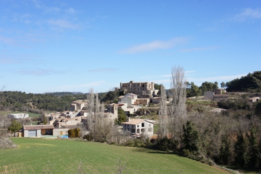 The Aplec del Roser in Les Piles