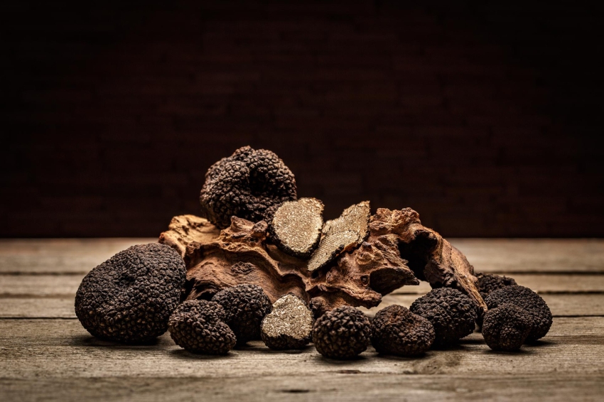 Game and truffle cuisine in Berguedà