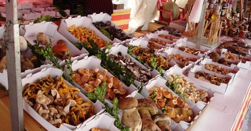 Marché aux champignons Cal Rosal