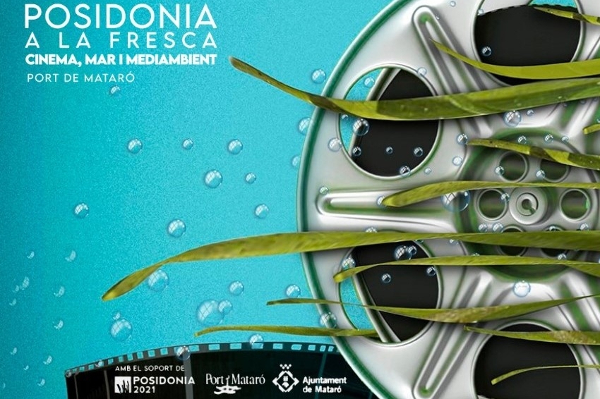 Posidonia al aire libre en Mataró