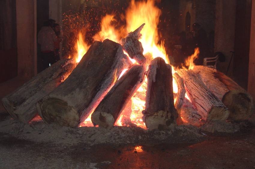 Fêtes de Sant Antoni à Caseres