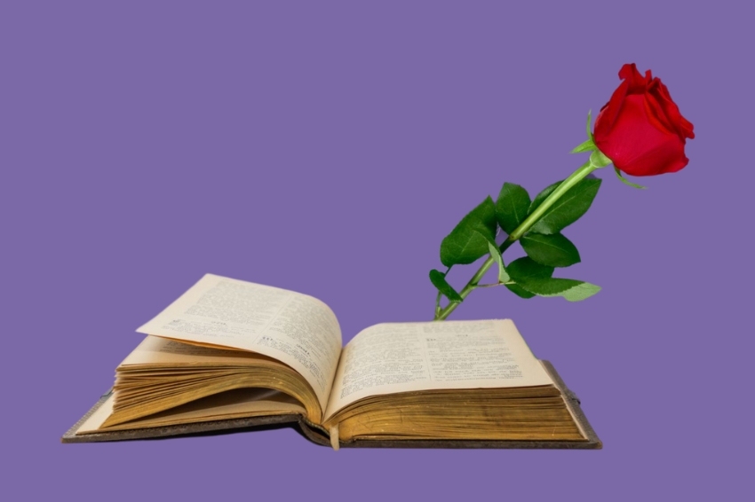 Sant Jordi à Maçanet de Cabrenys