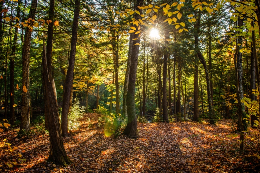 Semaine de la nature à Mataró