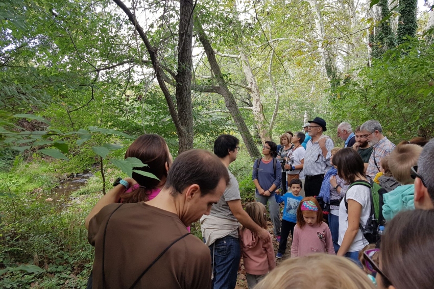 Forest week in Sant Celoni