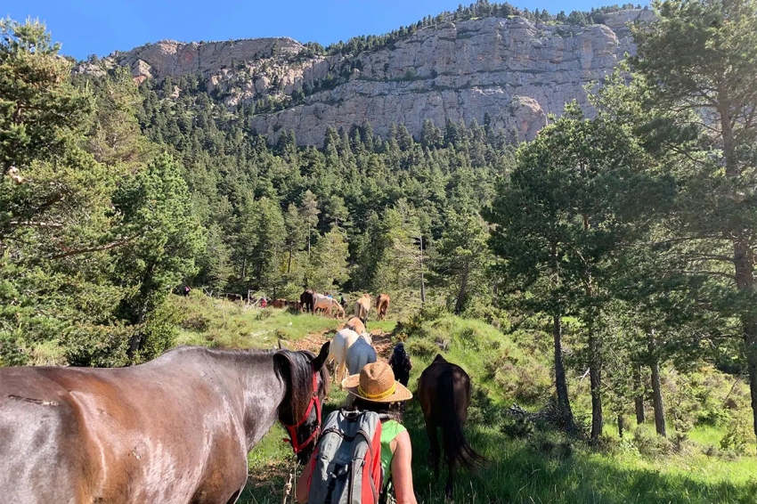 Transhumance, We crossed the Cadí with the Miranda Foundation