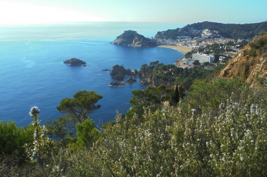 Treasures of ses Cadiretes - Megalithic forest route in Tossa de Mar