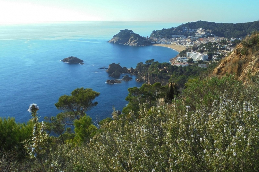 Tresors de ses Cadiretes - Ruta megalítica bosc a Tossa de Mar