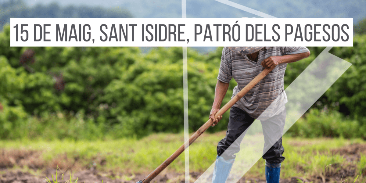 15-de-maig-sant-isidre